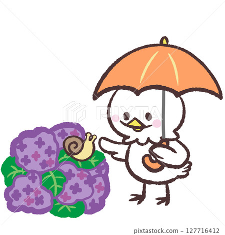 繡球花和白鳥的插圖 127716412