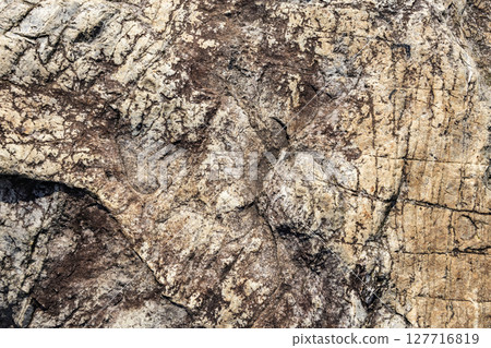 岩石表面 127716819