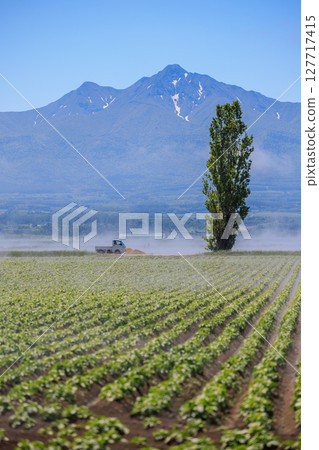 Scenery with Mount Shari and fields Scenery with Mount Shari and fields 127717415