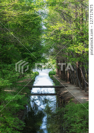 Gyeongbuk Millennium Forest Garden 127717675