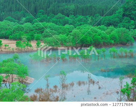 Fresh greenery on Lake Akiogi in Akita Prefecture - Submerged forest reflecting in the water Fresh greenery on Lake Akiogi in Akita Prefecture - Submerged forest reflecting in the water 127717684