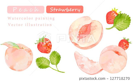 Vector illustration of peach and strawberry painted in watercolor 127718270