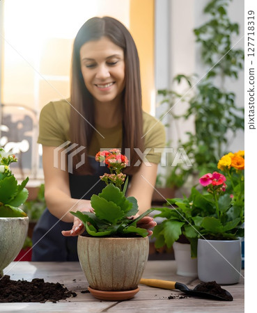 Smiling Caucasian woman transplants a flowering kalanchoe among house plants indoor in kitchen or flower shop, lifestyle, selective focus. 127718319