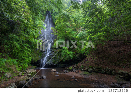 Kototaki Falls surrounded by fresh greenery (Kyoto Prefecture, Funai District, Kyotanba Town) 127718336