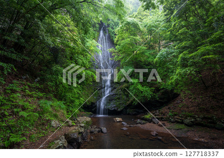 Kototaki Falls surrounded by fresh greenery (Kyoto Prefecture, Funai District, Kyotanba Town) 127718337