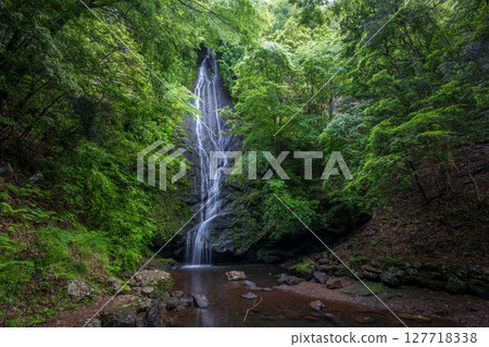 Kototaki Falls surrounded by fresh greenery (Kyoto Prefecture, Funai District, Kyotanba Town) Kototaki Falls surrounded by fresh greenery (Kyoto Prefecture, Funai District, Kyotanba Town) 127718338