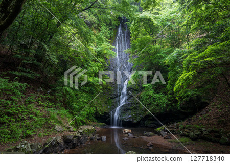 Kototaki Falls surrounded by fresh greenery (Kyoto Prefecture, Funai District, Kyotanba Town) 127718340