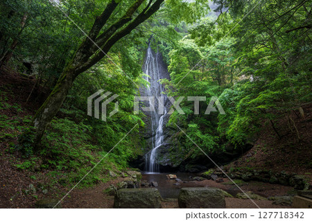 被新綠色環繞的琴滝瀑布（京都府內郡京丹波町） 127718342