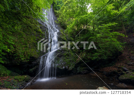 Kototaki Falls surrounded by fresh greenery (Kyoto Prefecture, Funai District, Kyotanba Town) 127718354