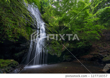 被新綠色環繞的琴滝瀑布（京都府內郡京丹波町） 127718357