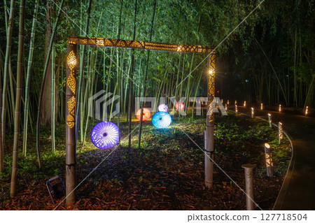 Illuminated bamboo lanterns and Japanese umbrellas in a bamboo forest (Takayamasha Shrine ruins, Fujioka, Gunma) 127718504