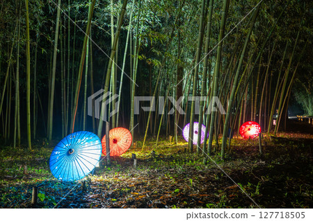 Illuminated Japanese umbrellas in a bamboo forest (Takayamasha Shrine ruins, Fujioka, Gunma) 127718505