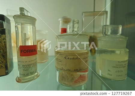 大學架上擺放的生物標本 127719267