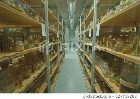 大學架上擺放的生物標本 127719268