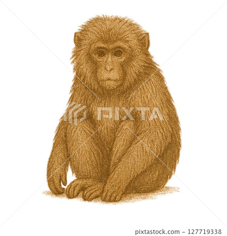 動物插圖 127719338