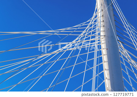 Detailed view of cable-stayed bridge architecture with taut cables under blue sky Detailed view of cable-stayed bridge architecture with taut cables under blue sky 127719771
