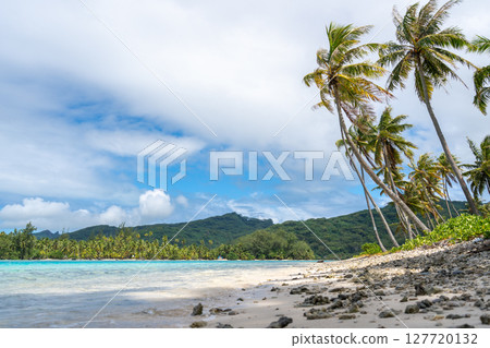 White sand beach at Coral Garden, Huahine, French Polynesia, with turquoise waters 127720132