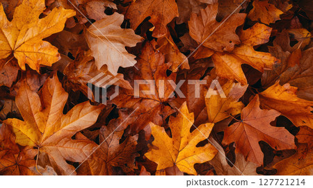 Cozy backdrop of warm orange and brown leaves creates serene atmosphere, perfect for vibes and seasonal decor 127721214