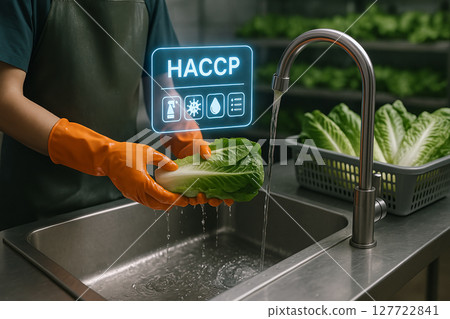 Worker washing romaine lettuce under water stream with orange gloves in a clean food facility under HACCP hygiene control hologram icons for safety procedures 127722841