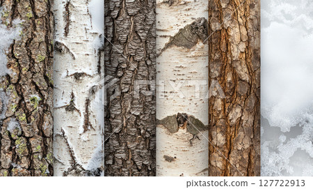 Textured tree bark in winter with snow accents, showcasing nature beauty 127722913