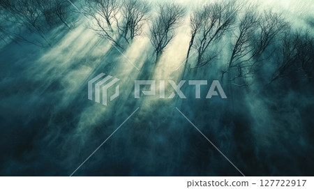 Misty woodland with dramatic shadows cast by bare trees 127722917