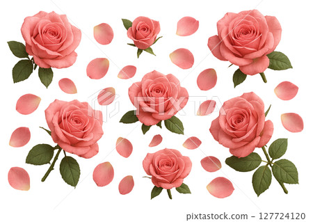 Png set of red rose petals and flowers isolated on transparent background. concept of floral design, romantic decoration, beautiful botanical elements for creative projects. Png set of red rose petals and flowers isolated on transparent background. concept of floral design, romantic decoration, beautiful botanical elements for creative projects. 127724120