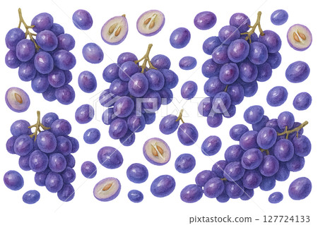 Png watercolor grape pattern with purple grapes and slices isolated on transparent background. concept of fruit decor, vineyard design, botanical elements, editable grape illustration 127724133