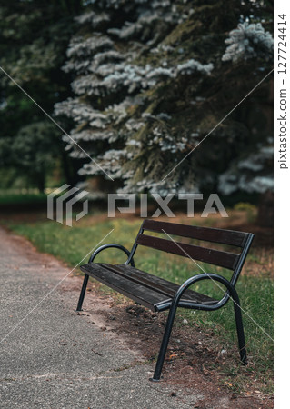Empty dark wooden park bench stands wet on paved path, bordered by green grass, evergreen trees, creating serene atmosphere in quiet outdoor space Empty dark wooden park bench stands wet on paved path, bordered by green grass, evergreen trees, creating serene atmosphere in quiet outdoor space 127724414