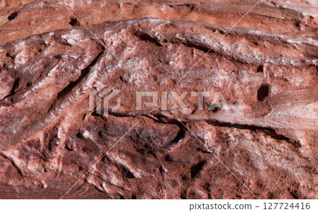 Vibrant reddish-brown rock surface displays deeply textured formations and natural patterns, ideal for rugged backdrops conveying strength and ancient geological beauty Vibrant reddish-brown rock surface displays deeply textured formations and natural patterns, ideal for rugged backdrops conveying strength and ancient geological beauty 127724416