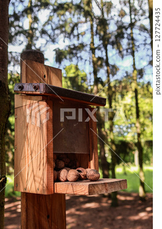 Wooden squirrel feeder brimming with healthy walnuts, robustly mounted on a forest tree, promoting compassionate wildlife care and natural habitat preservation outdoors 127724435
