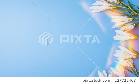 White daisies and rainbow light on blue background 127725408