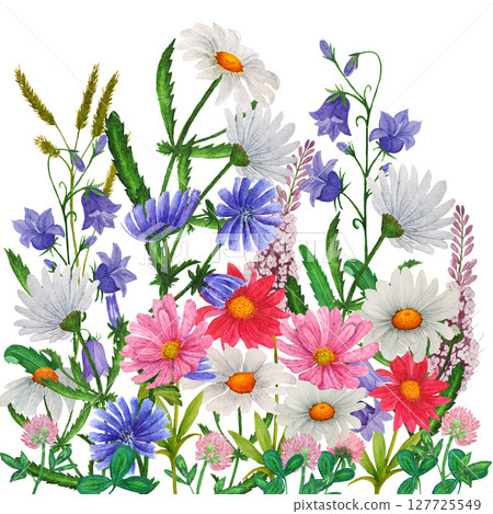 Watercolor border of hand painted colorful wildflowers and botanical greenery. Design for invitation, cards, textile and wallpaper Watercolor border of hand painted colorful wildflowers and botanical greenery. Design for invitation, cards, textile and wallpaper 127725549