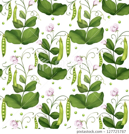 Seamless pattern green pea pods and leaves. Seamless pattern green pea pods and leaves. 127725787