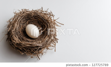 Bird's Nest with Single White Egg on Minimalist Background 127725789