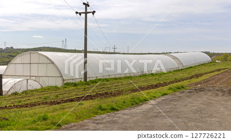 Long Polytunnel Greenhouse Farm Long Polytunnel Greenhouse Farm 127726221