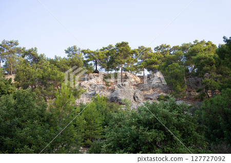 Lush green trees atop rocky cliff under clear blue sky in serene natural landscape 127727092