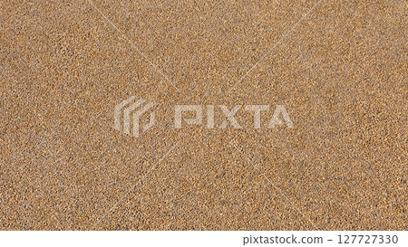 Background of natural sand grains forming sandy beach texture 127727330