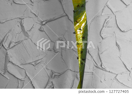 A lot of flies caught on sticky fly catcher in grey background surface A lot of flies caught on sticky fly catcher in grey background surface 127727405