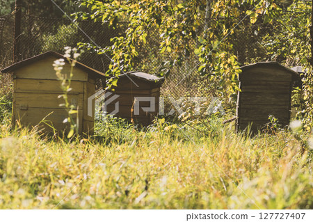 Abandoned bee hives standing in meadow 127727407