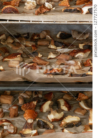 Boletus mushrooms drying in the oven Boletus mushrooms drying in the oven 127727570