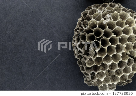 Round, Very Old, Gray and Abandoned Wasps Nest on Black Background Surface With Free Space 127728030