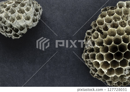 Round, Very Old, Gray and Abandoned Wasps Nests on Black Background Surface With Free Space 127728031