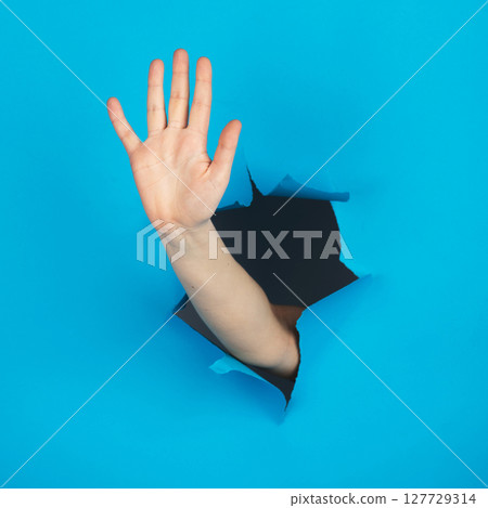 Hand with palm in blue background 127729314