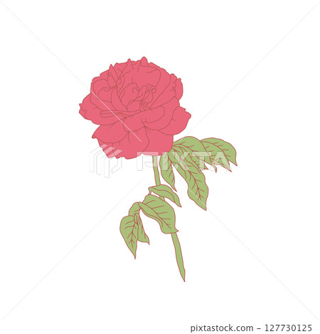 Hand drawn line art pink rose flower isolated on white background 127730125