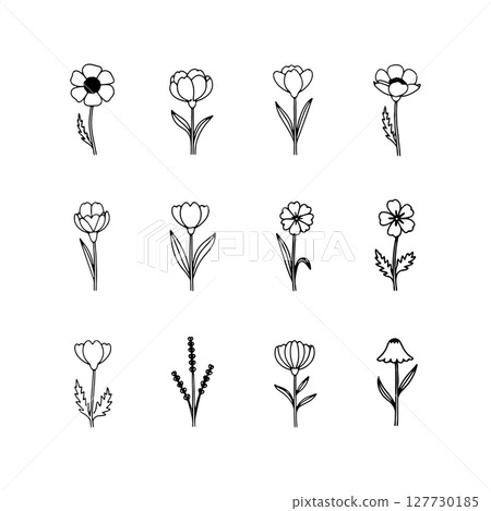 Graceful Flower Set. A refined collection of six hand-drawn flowers with soft curved petals and simple stems, perfect for branding, print, and decor. Graceful Flower Set. A refined collection of six hand-drawn flowers with soft curved petals and simple stems, perfect for branding, print, and decor. 127730185