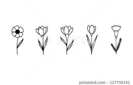 Hand drawn Floral Row. A horizontal arrangement of soft, line-drawn flower motifs with a natural rhythm and airy structure, great for headers or borders. 127730191