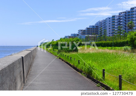 千葉縣浦安市三番瀨週邊 2025年6月 127730479