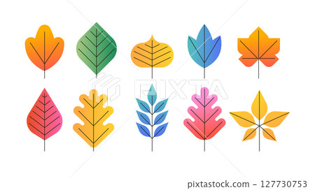 Collection of geometrical autumn leaves. Colorful botanical icons set. 127730753