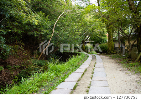 Kyoto Philosophy Road (Sakyo-ku) 127730755