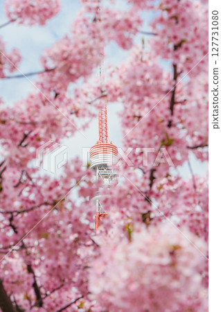 被河津櫻花環繞的東京鐵塔 被河津櫻花環繞的東京鐵塔 127731080